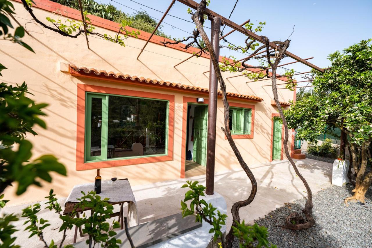 Casa Rural Bejeque Teror Exterior photo