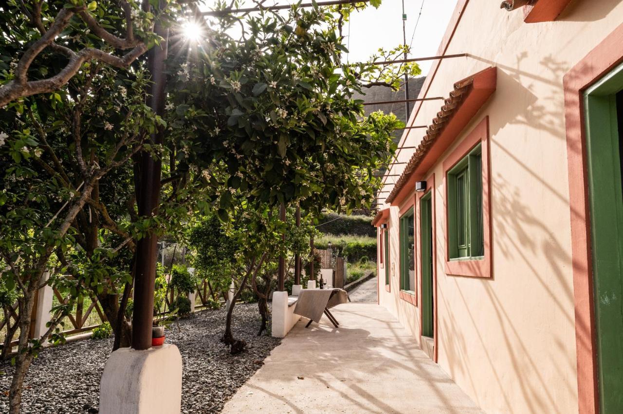 Casa Rural Bejeque Teror Exterior photo